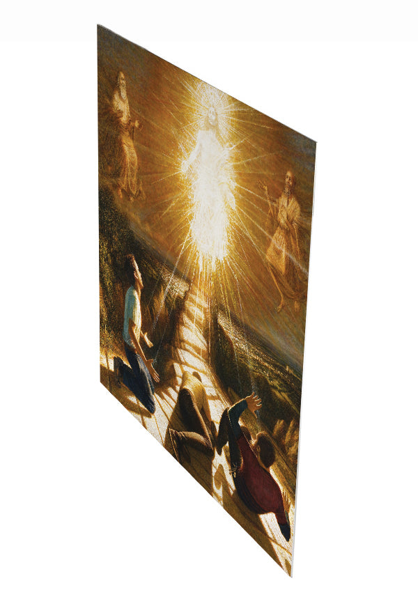 Transfiguration